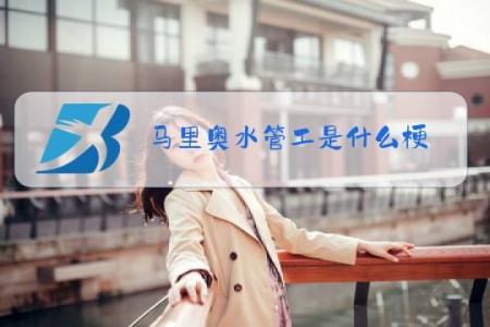 马里奥水管工是什么梗