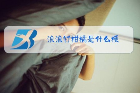 浪浪钉柑橘是什么梗
