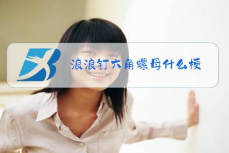 浪浪钉六角螺母什么梗
