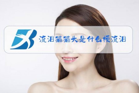 流泪猫猫头是什么梗流泪猫猫头表情包出处
