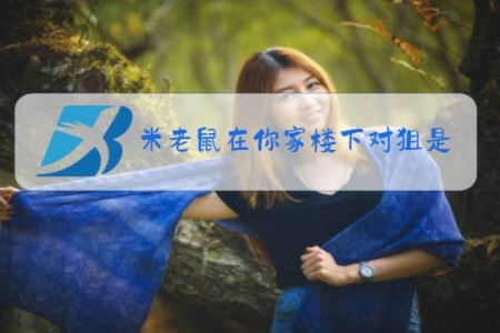 米老鼠在你家楼下对狙是什么梗