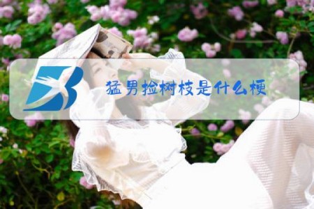 猛男捡树枝是什么梗