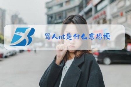 骂人nt是什么意思梗