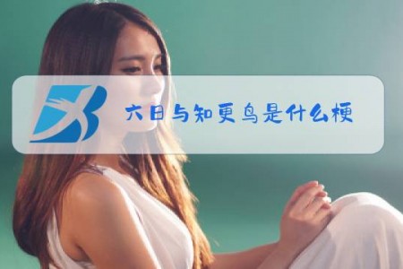 六日与知更鸟是什么梗