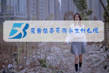 魔兽信春哥得永生什么梗