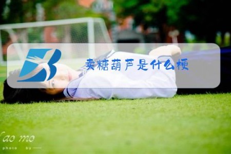 卖糖葫芦是什么梗