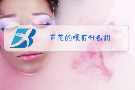 芦苇的梗有什么用