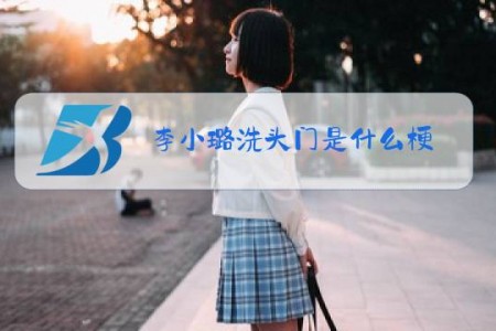 李小璐洗头门是什么梗