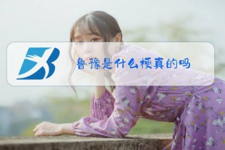 鲁豫是什么梗真的吗