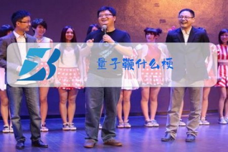 量子鞭什么梗