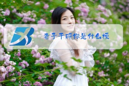 老子干碎你是什么梗
