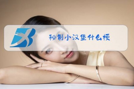 秘制小汉堡什么梗