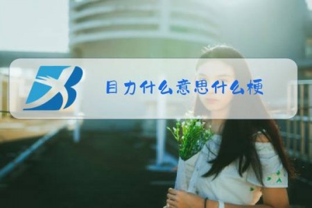 目力什么意思什么梗