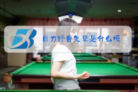 目力野兽先辈是什么梗