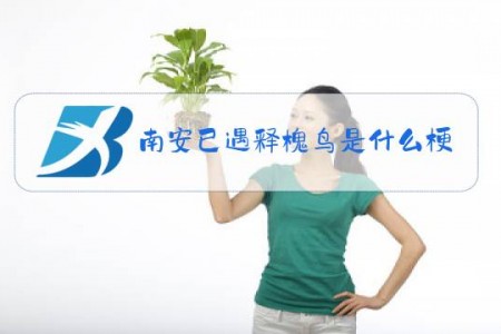 南安已遇释槐鸟是什么梗
