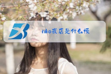 niko夜店是什么梗