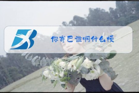 你寄巴谁啊什么梗