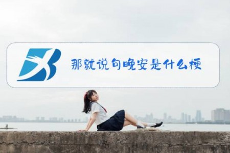 那就说句晚安是什么梗