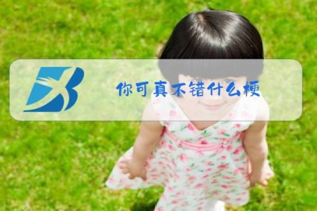 你可真不错什么梗