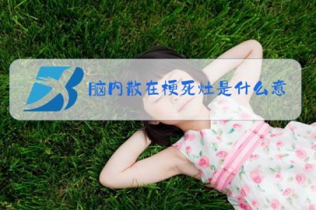 脑内散在梗死灶是什么意思