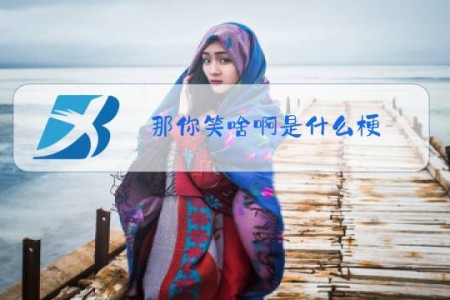 那你笑啥啊是什么梗