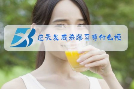 逆天发威杀爆至尊什么梗