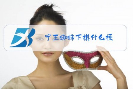宁王蜘蛛下棋什么梗
