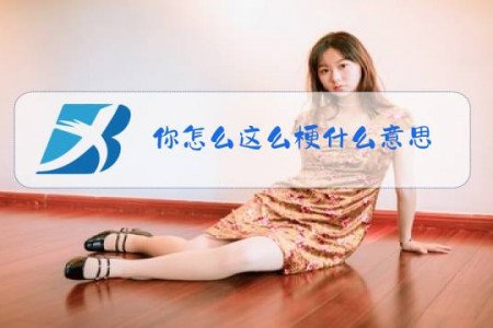 你怎么这么梗什么意思