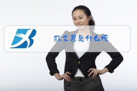 欧文惹是什么梗