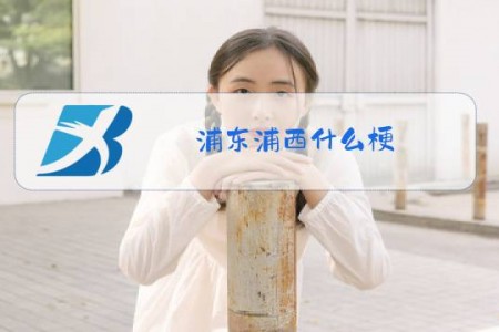 浦东浦西什么梗