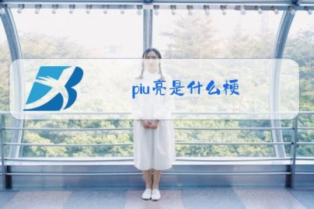 piu亮是什么梗