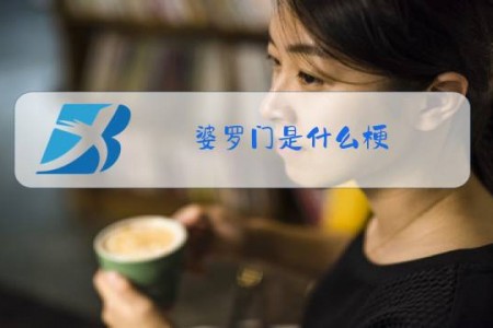 婆罗门是什么梗