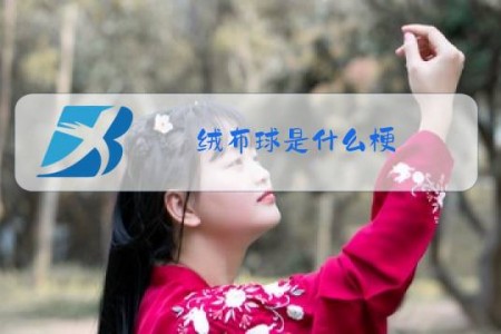 绒布球是什么梗