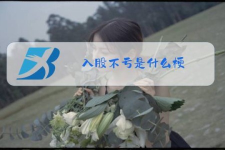 入股不亏是什么梗