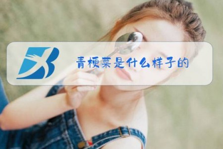 青梗菜是什么样子的