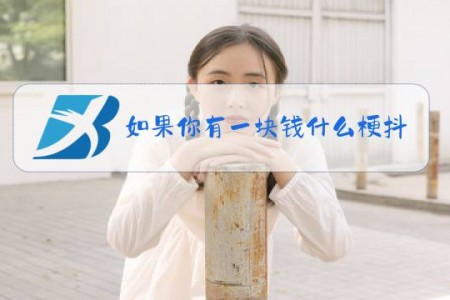 如果你有一块钱什么梗抖音