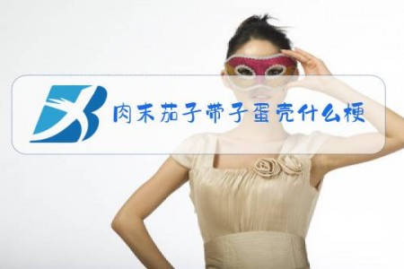 肉末茄子带子蛋壳什么梗