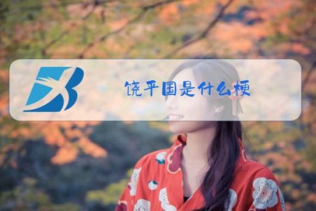 饶平国是什么梗