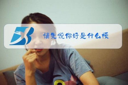 请先说你好是什么梗