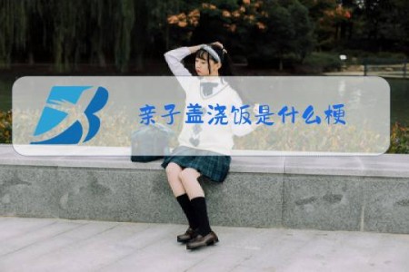 亲子盖浇饭是什么梗