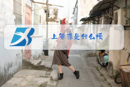 上等骡是什么梗