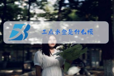 三点水金是什么梗
