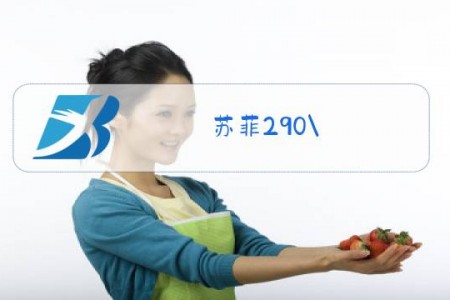 苏菲290\/410什么梗