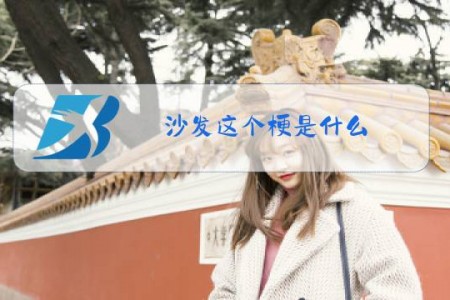 沙发这个梗是什么