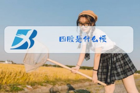 四股是什么梗