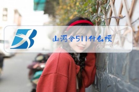 山河令511什么梗