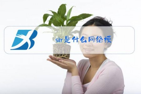 sir是什么网络梗