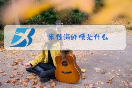 宋佳海鲜梗是什么