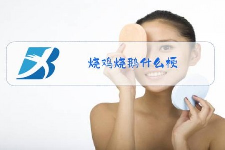 烧鸡烧鹅什么梗