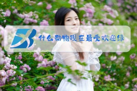 什么动物现在最受欢迎绿马是什么梗
